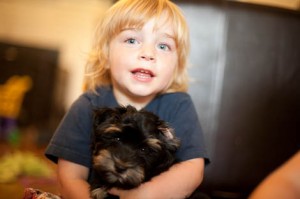 Dogs for Children with Allergies